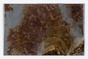 Forty Days, Forty Nights (33)